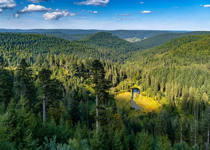 شقة Kur-apartment Matilda *